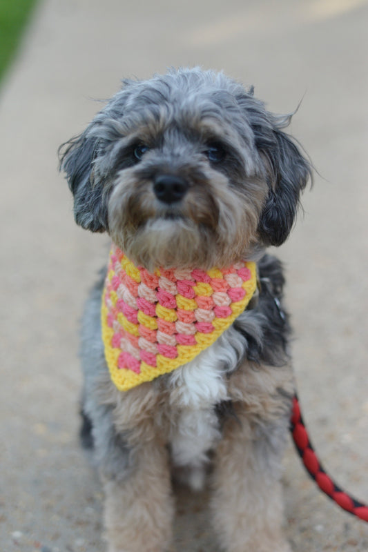 Daylight - Coral, Yellow, Hot Pink, Peach Bandana