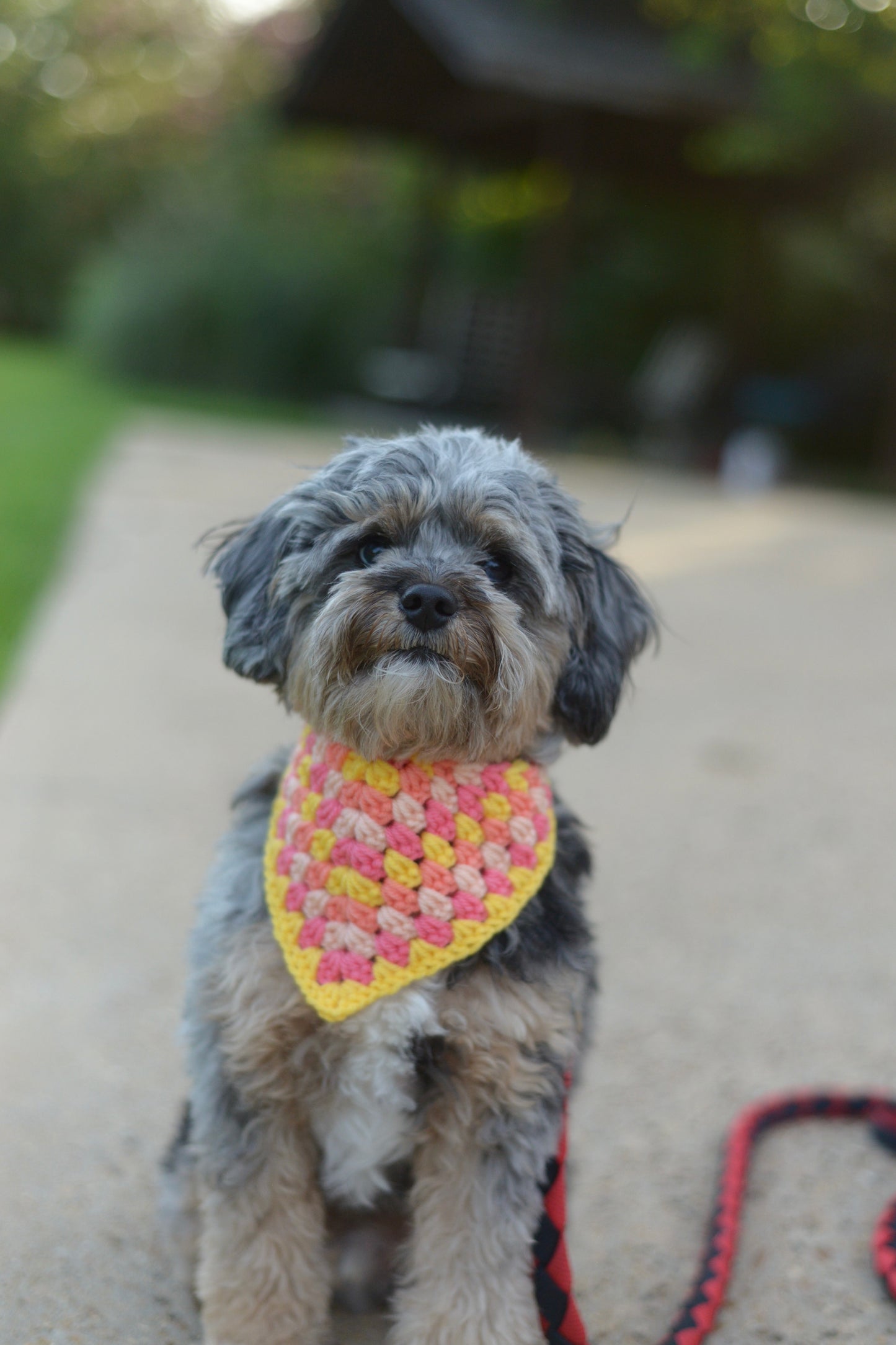 Daylight - Coral, Yellow, Hot Pink, Peach Bandana