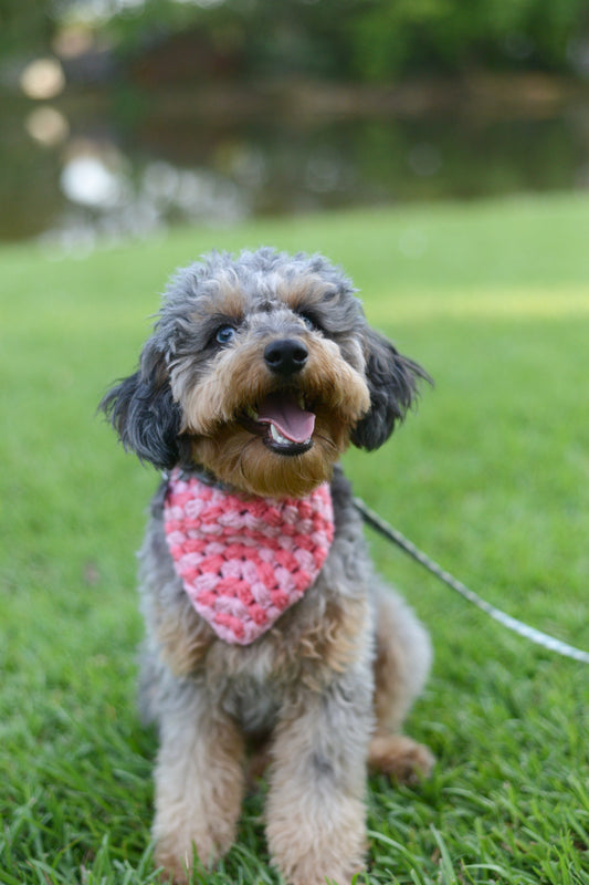 Miss Americana - Hot Pink and Light Pink Bandana