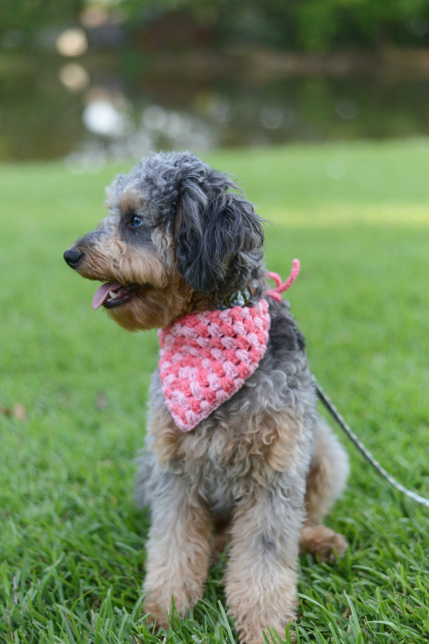 Miss Americana - Hot Pink and Light Pink Bandana