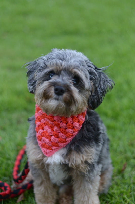 Bad Blood - Hot Pink and Red Bandana